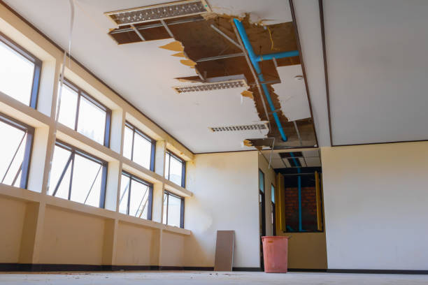 Best Carpet water damage restoration  in Munsey Park, NY