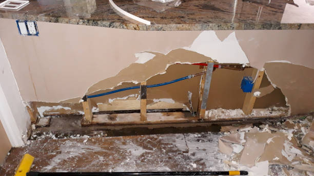 Best Professional water damage repair  in Munsey Park, NY